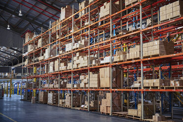 Cardboard boxes stacked on shelves in distribution warehouse - HOXF02845