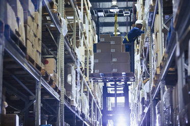 Worker operating forklift stacking cardboard boxes on distribution warehouse shelves - HOXF02861