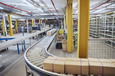 Cardboard boxes on conveyor belt in distribution warehouse - HOXF02873