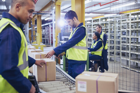 Arbeiter scannen und bearbeiten Kartons auf einem Förderband in einem Vertriebslager - HOXF02883