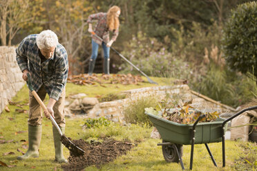 Couple gardening doing yard work raking autumn leaves - HOXF03099