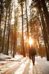 Frau inmitten von Bäumen auf schneebedecktem Feld bei Sonnenuntergang - CAVF00008