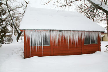 Schneebedecktes Haus vor kahlen Bäumen - CAVF00020