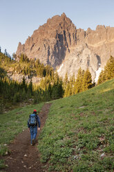 Rear view of hiker walking on pathway towards trees and mountains - CAVF00031