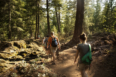 Friends walking on pathway amidst trees in forest - CAVF00041