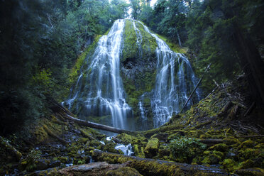 Idyllischer Blick auf einen Wasserfall im Wald - CAVF00054