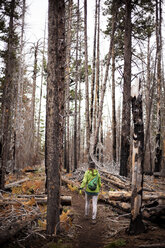 Rückansicht einer Frau, die auf einem Weg inmitten von Bäumen im Wald spazieren geht - CAVF00063