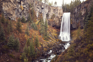 Blick auf die Tumalo Falls inmitten von Bäumen und Bergen - CAVF00076