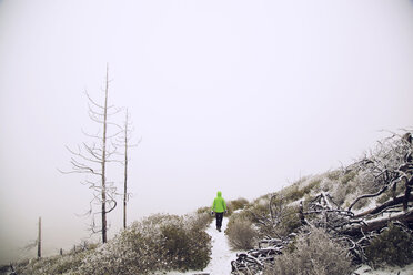 Wanderer auf schneebedecktem Weg neben kahlen Bäumen - CAVF00101