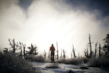 Rückansicht einer Frau auf einem schneebedeckten Feld bei nebligem Wetter - CAVF00118