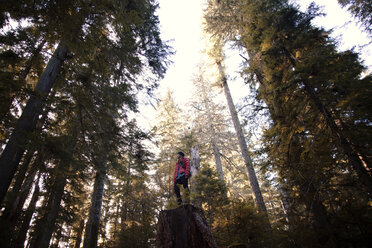 Low angle view of hiker standing on tree stump at forest - CAVF00120