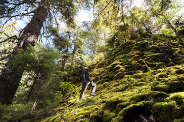 Low angle view of man climbing moss covered rock in forest - CAVF00130