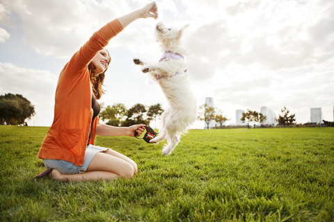Seitenansicht einer fröhlichen Frau, die mit einem Hund auf einer Wiese spielt, lizenzfreies Stockfoto
