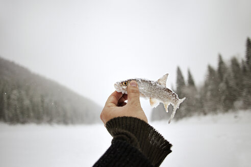 Ausgeschnittenes Bild eines Mannes, der einen gefrorenen Fisch vor einem klaren Himmel hält - CAVF00593