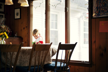 Boy at dining table against window at home - CAVF00742