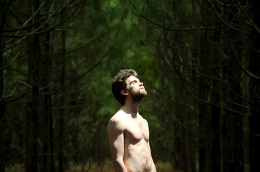 Shirtless man with eyes closed standing amidst trees in forest - CAVF00813