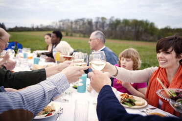 Familie und Freunde stoßen am Picknicktisch mit Weingläsern an - CAVF00852