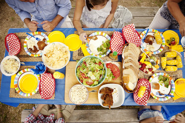 Draufsicht auf eine Familie beim Essen am Picknicktisch - CAVF00969