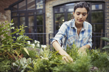 Young woman gardening, checking plants on patio - CAIF04667