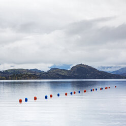 Wanakasee, Südinsel, Neuseeland - CAIF04755