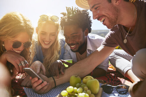 Junge Freunde, die mit dem Handy SMS schreiben und ein sonniges Sommerpicknick genießen - CAIF04797