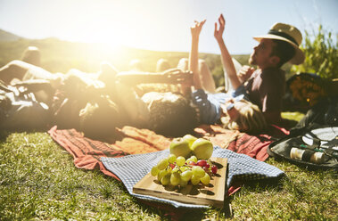 Young friends enjoying picnic, relaxing in sunny summer park - CAIF04834