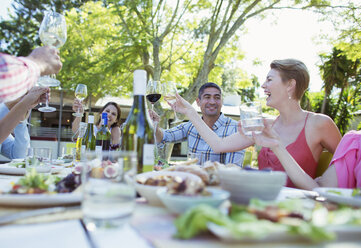 Friends toasting each other at party - CAIF04892