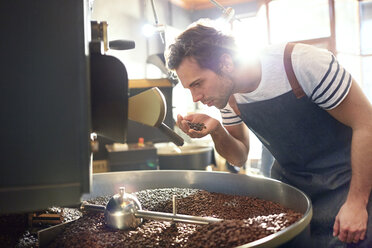 Männlicher Kaffeeröster riecht an Kaffeebohnen in der Rösterei - CAIF04953