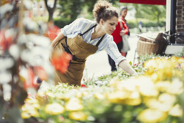 Blumenhändlerin prüft Pflanzen in einem sonnigen Blumenladen - CAIF05019