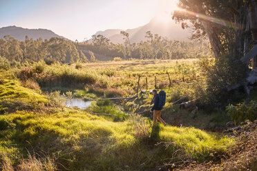 Junger Mann mit Rucksack beim Wandern in einem sonnigen, abgelegenen Feld - CAIF05095