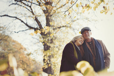 Zärtliches älteres Paar, das sich im sonnigen Herbstpark umarmt - CAIF05308