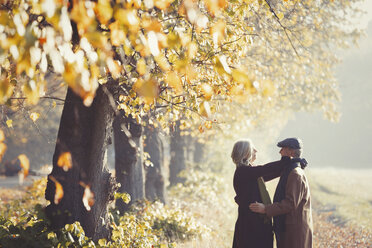 Verliebtes Paar im sonnigen Herbstpark - CAIF05311