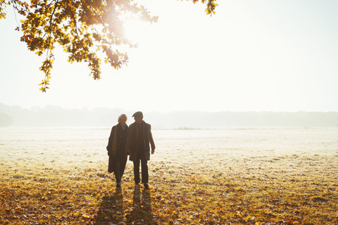 Silhouette Senior Paar hält die Hände in sonnigen Herbst Park gehen, lizenzfreies Stockfoto