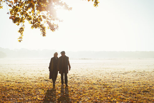 Silhouette senior couple holding hands walking in sunny autumn park - CAIF05323