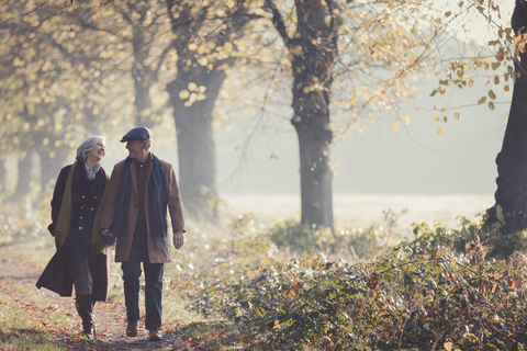 Älteres Paar, das sich an den Händen hält und in einem sonnigen Herbstpark spazieren geht, lizenzfreies Stockfoto