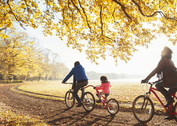 Junge Familie Radfahren auf dem Weg in sonnigen Herbst Wald - CAIF05332