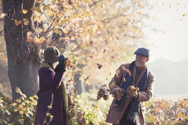Verspieltes älteres Paar wirft Herbstblätter im sonnigen Park - CAIF05334
