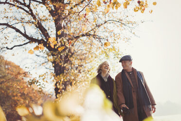 Zärtliches älteres Paar, das sich an den Händen hält und in einem sonnigen Herbstpark spazieren geht - CAIF05346