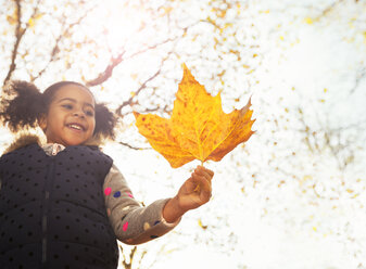 Lächelndes Mädchen hält orangefarbenes Ahornblatt im sonnigen Herbstpark - CAIF05429