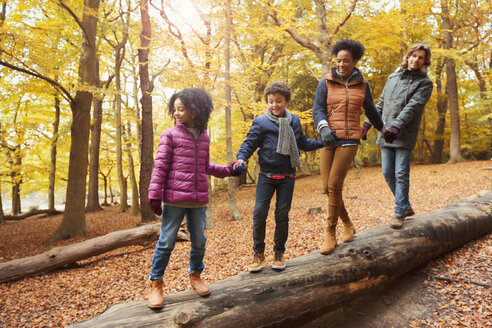 Junge Familie hält sich an den Händen und geht auf einem Baumstamm im Herbstwald spazieren - CAIF05436