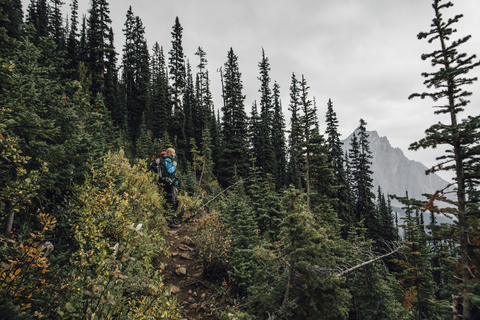 Canada, British Columbia, Yoho National Park, hikers on trail at Mount Burgess stock photo