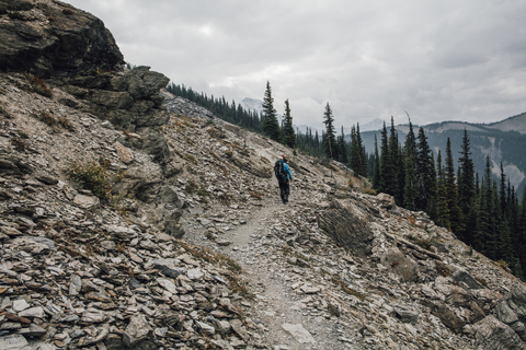 Kanada, Britisch-Kolumbien, Yoho-Nationalpark, Wanderer auf dem Weg zum Mount Burgess, lizenzfreies Stockfoto