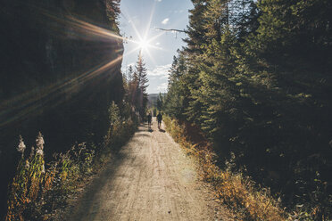 Canada, British Columbia, Kelowna, Myra Canyon, hikers on Kettle Valley Rail Trail - GUSF00420