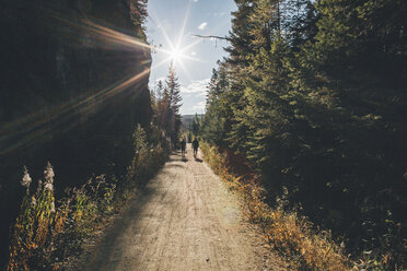 Kanada, British Columbia, Kelowna, Myra Canyon, Wanderer auf dem Kettle Valley Rail Trail - GUSF00420