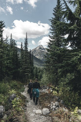 Canada, British Columbia, Glacier National Park, hikers on Sir Donald Trail - GUSF00446