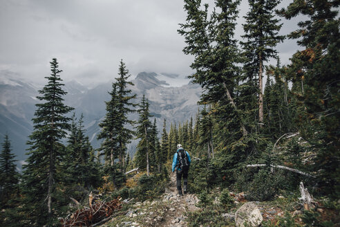 Kanada, Britisch-Kolumbien, Yoho-Nationalpark, Mann beim Wandern am Mount Burgess - GUSF00463