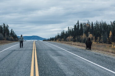 Kanada, British Columbia, Mann auf dem Alaska Highway mit Bison am Straßenrand - GUSF00495