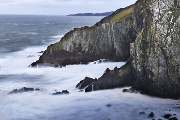 Meer und zerklüftete Klippen, Devon, Vereinigtes Königreich - CAIF05915