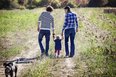 Rückansicht einer Familie, die auf einem grasbewachsenen Feld spazieren geht - CAVF01279