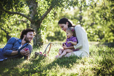 Glückliche Familie mit Apfelkorb im Obstgarten - CAVF01285